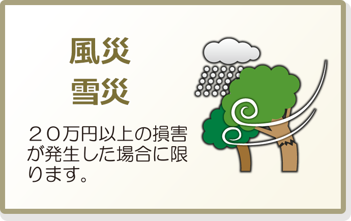 図：風災・雪災